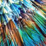 Colour:F