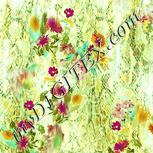 Colour:K