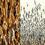 Colour:A