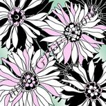 Colour:B