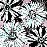 Colour:C