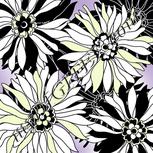 Colour:D