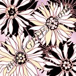 Colour:J