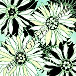 Colour:K