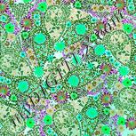 Colour:C