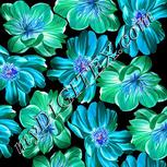 Colour:A