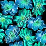 Colour:B