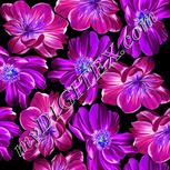 Colour:D