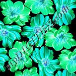 Colour:K