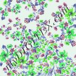 Colour:C
