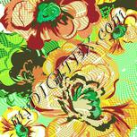 Colour:K
