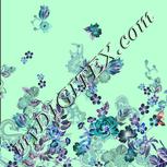 Colour:F