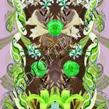 Colour:D