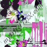 Colour:C
