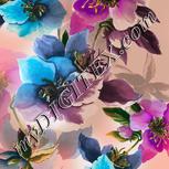 Colour:A