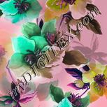 Colour:B