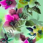 Colour:C