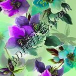 Colour:D