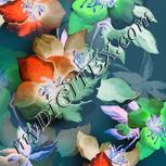 Colour:F