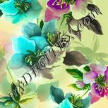Colour:K