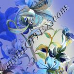Colour:A