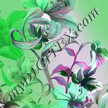 Colour:B