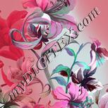 Colour:C