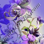 Colour:D