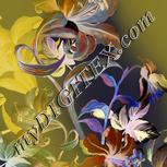 Colour:F