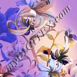Colour:J