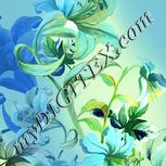 Colour:K