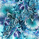 Colour:C