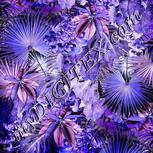 Colour:F