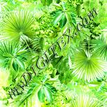 Colour:K