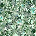 Colour:C
