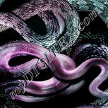 Colour:B