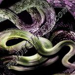 Colour:D