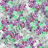 Colour:C
