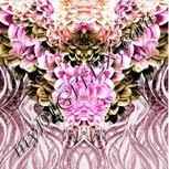 Colour:B