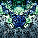Colour:F