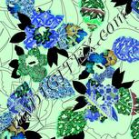 Colour:F