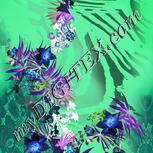 Colour:F