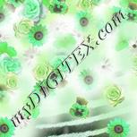 Colour:C