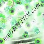 Colour:D