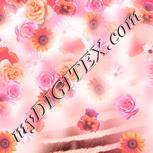 Colour:J