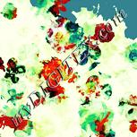 Colour:K