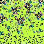 Colour:F