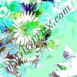 Colour:C