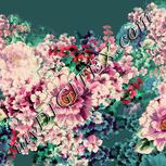 Colour:A