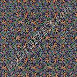 Colour:F